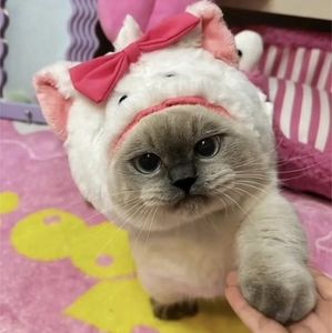 Meet your Posher, Leeor